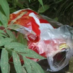 Reconciliation with the environment