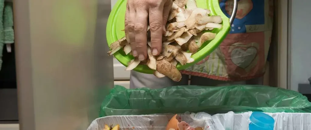 recycle residential waste