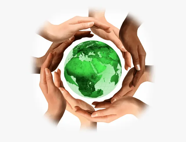 What is “GAIN”'s field of activity?