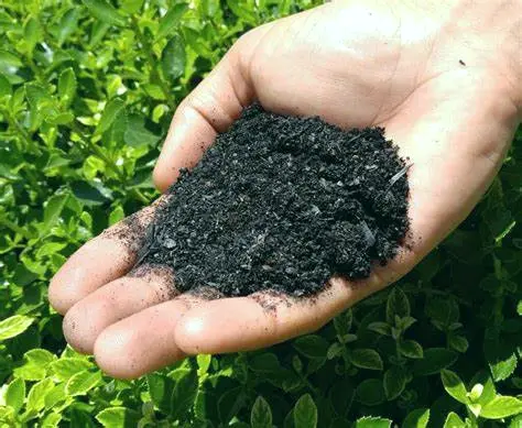catalyst soil waste