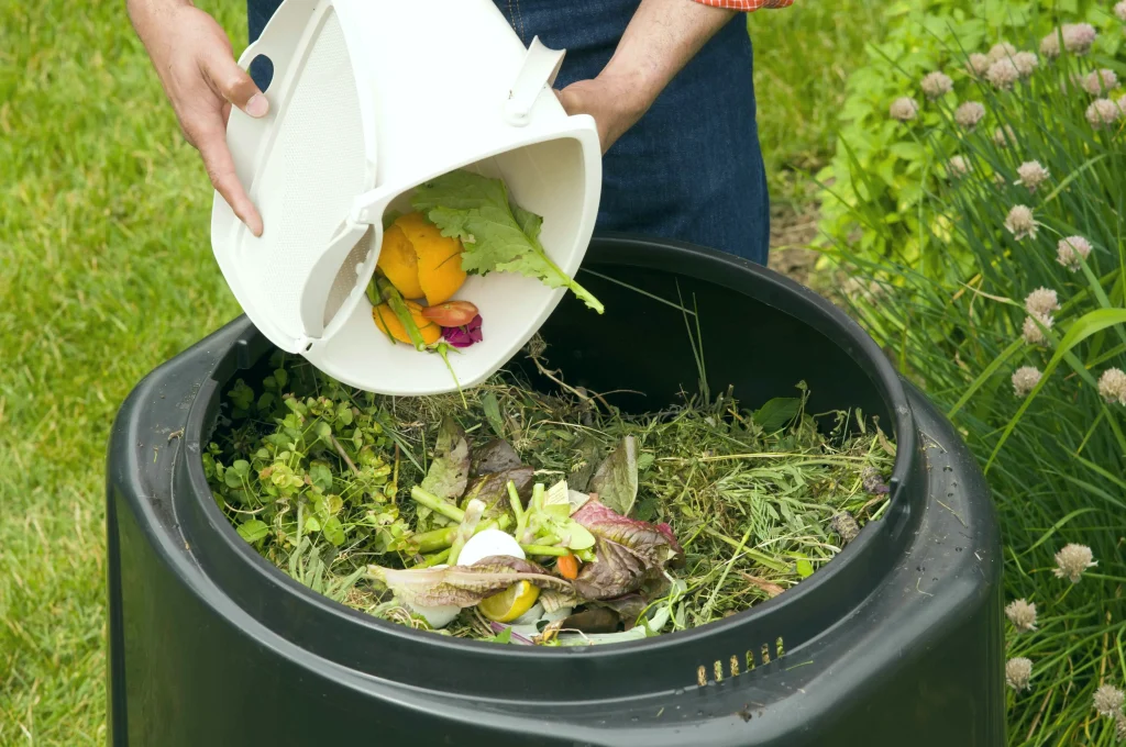 Make home compost with your kitchen waste